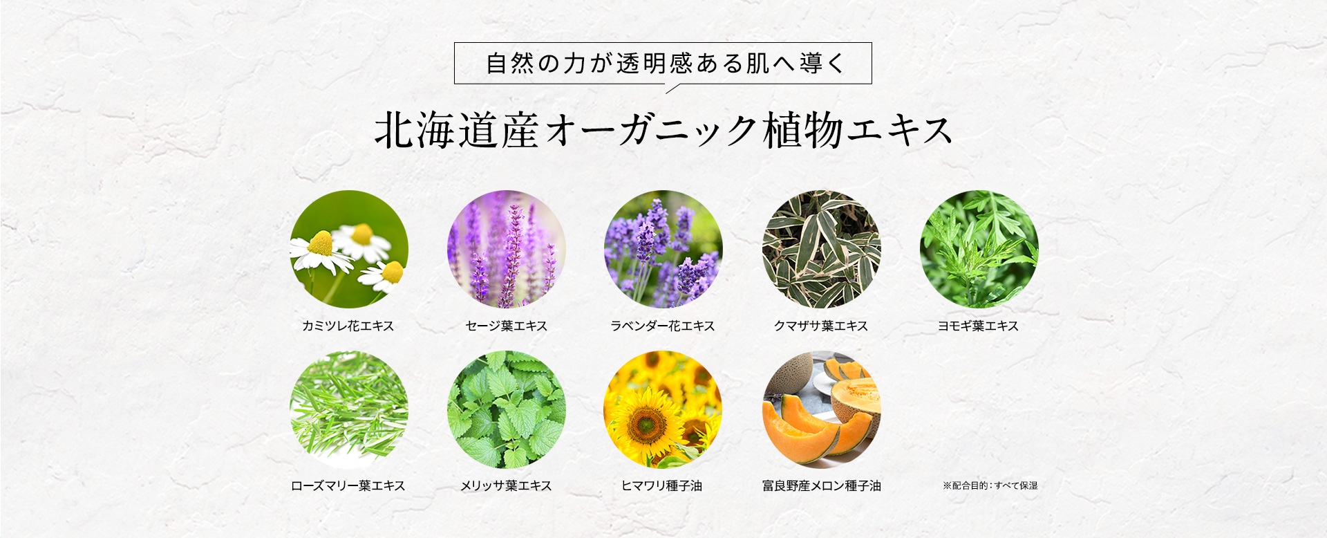 自然の力が透明感ある肌へ導く北海道産オーガニック植物エキス